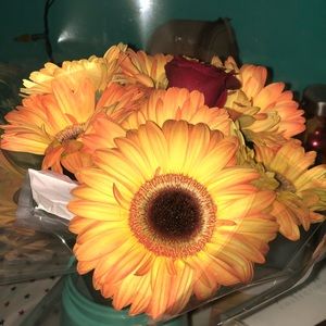 Meet your Posher, Mari